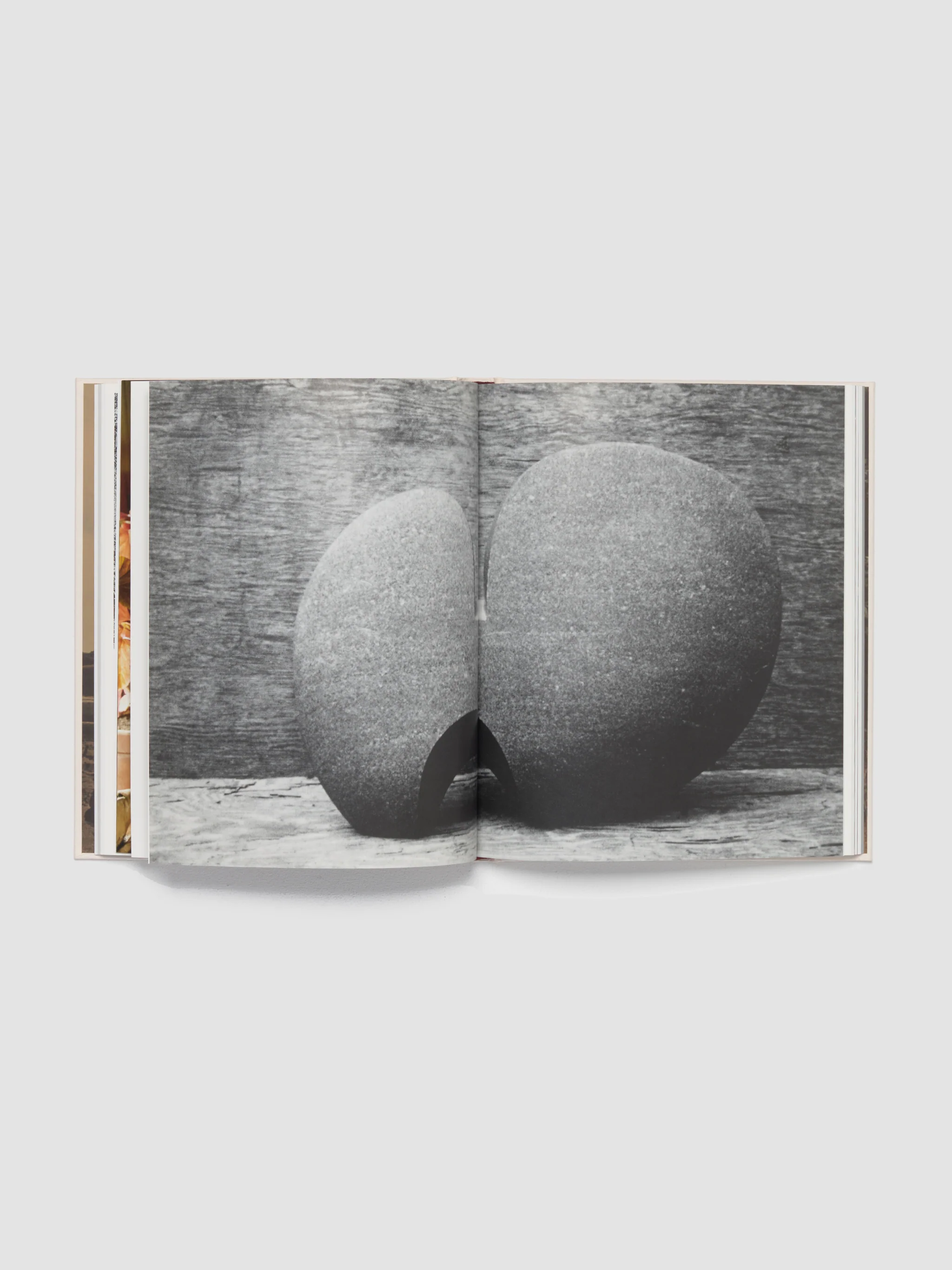 JB Blunk (Ed 4) - Image 3
