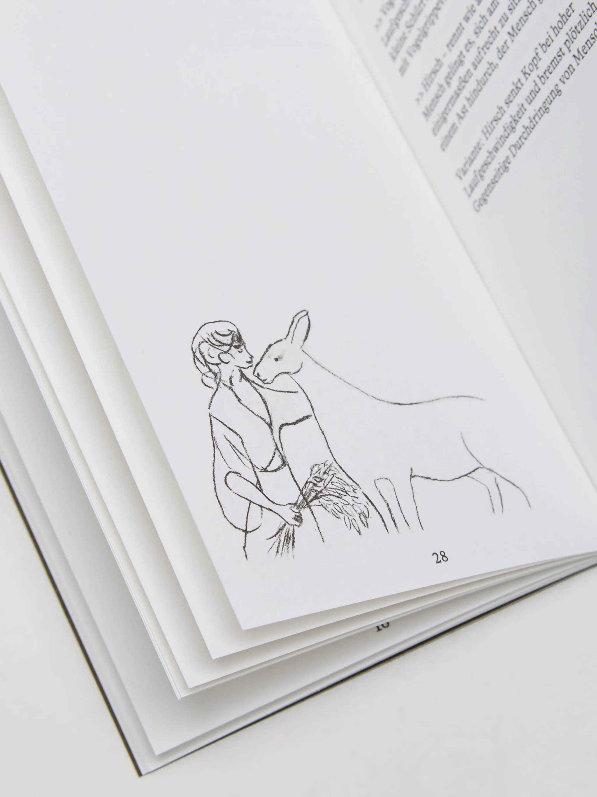 Lin May Saeed – Fables - Image 2