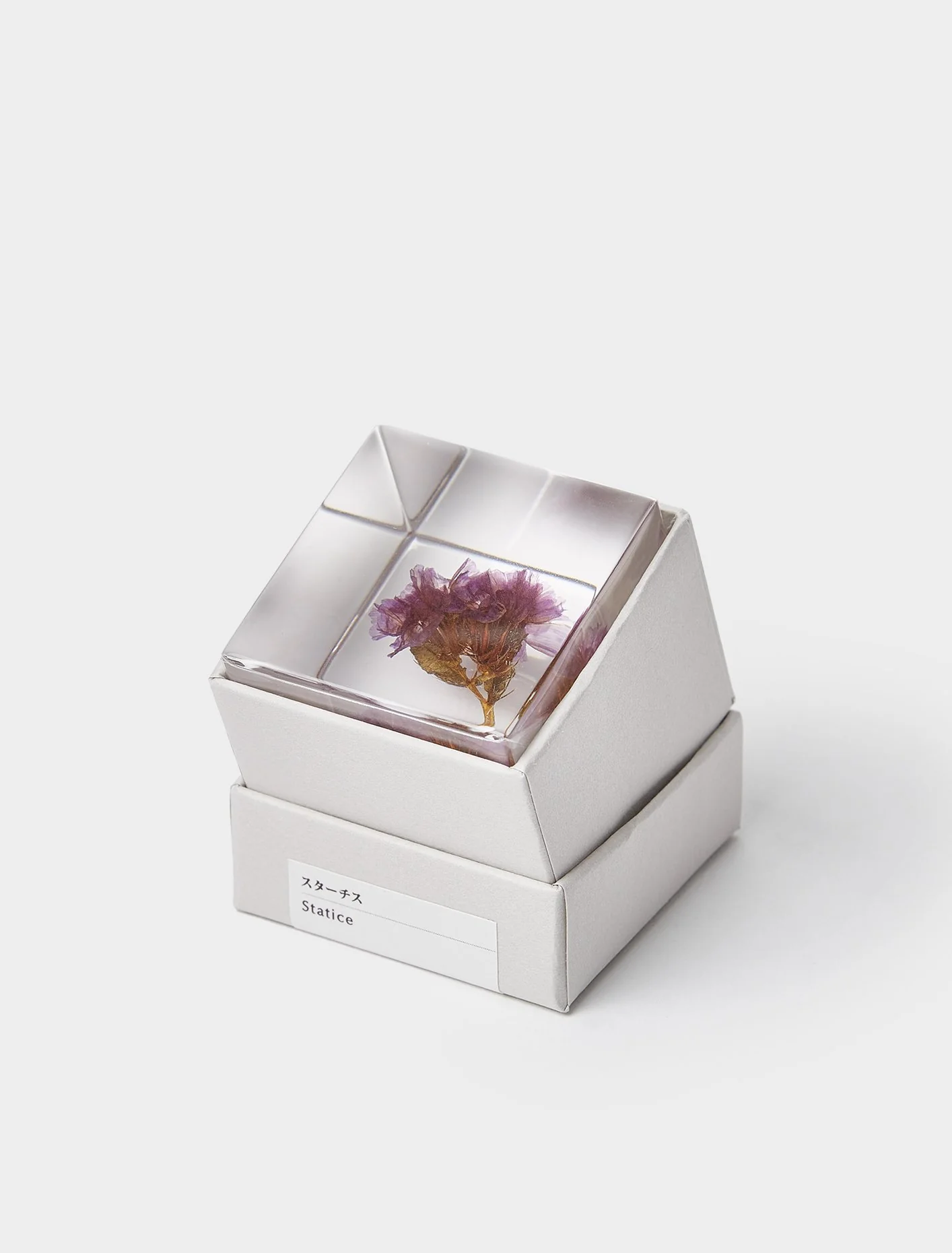 Statice - Sola Cube - Image 2