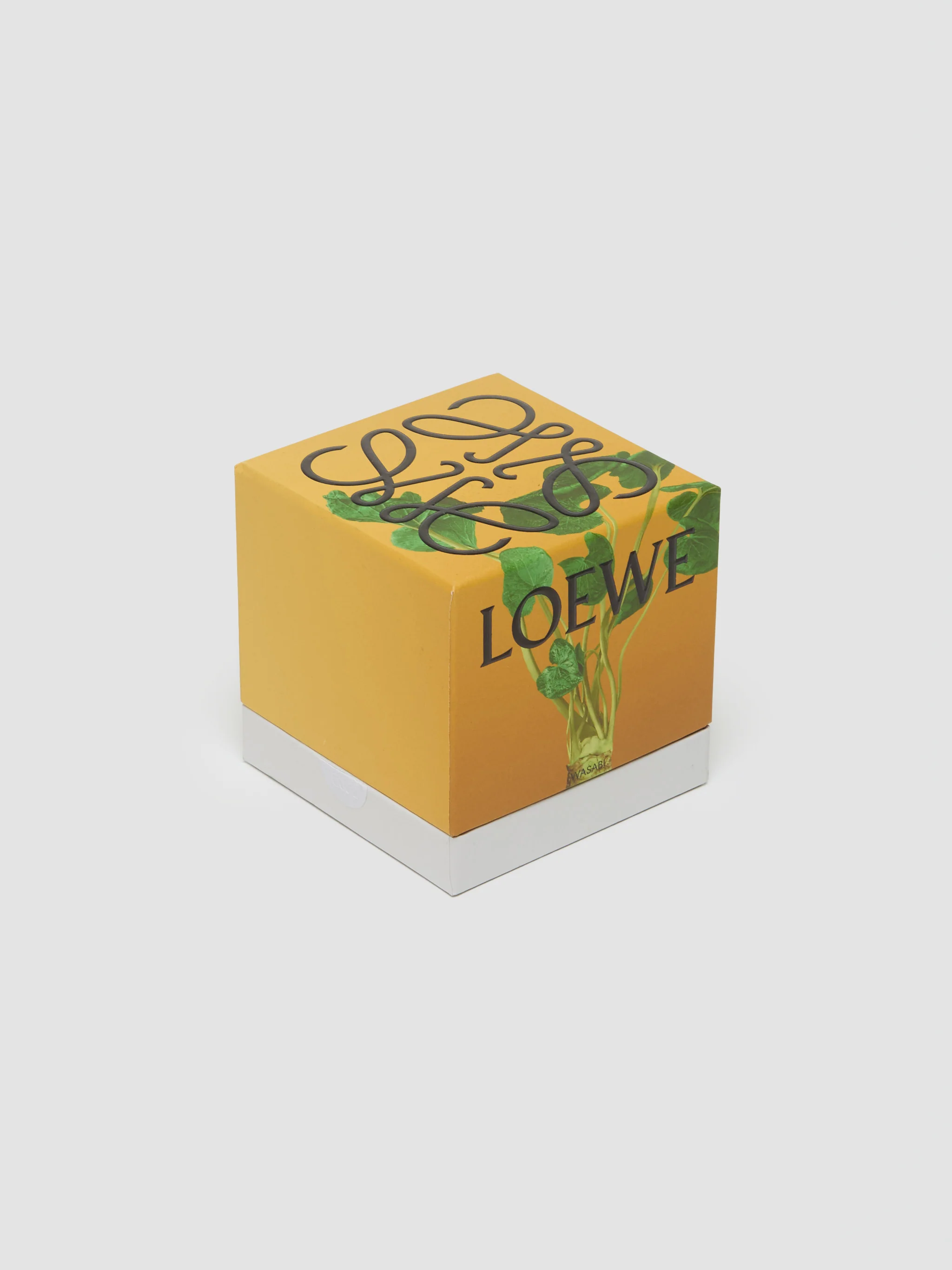 Wasabi Candle - Image 4